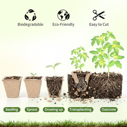 Prudiut 144 Cells Seed Starter Tray, 12 Pack Biodegradable Peat Pots Kit