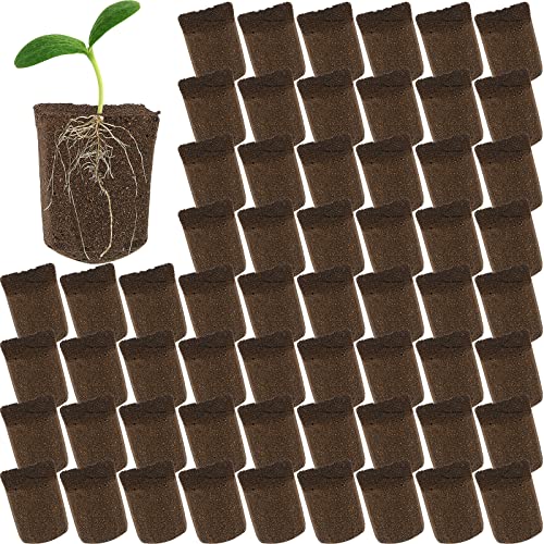 Amyhill Hydroponic Sponges Grow Starter Pods Organic Growth Sponge Starter Plugs for Plant Cloning Growing (100 Pieces)