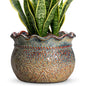 10 Inch Plant Pot, Ceramic Planter, Yellowish Brown - color: Yellowish Brown, size: 10 Inch