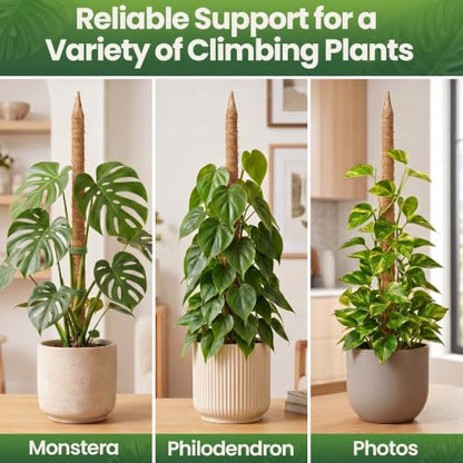 48'' Moss Pole Monstera Plant Support for Climbing Indoor Plants - size: 1-Pack (48 in)