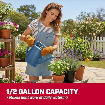 CHAPIN 48006 1/2-Gallon Watering Can, Lightweight for Easy Watering - style: 0.5 Gallons, Blue