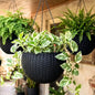 LaLaGreen Indoor Hanging Planters (11in, 4 Pack) Self-Watering Flower Pots - color: Black X 4