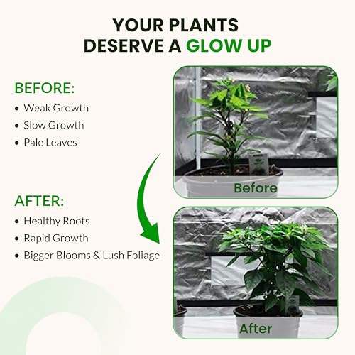 Humboldts Secret Starter Kit, Plant Fertilizer & Hydroponic Nutrients, XL - size: Starter Kit XL