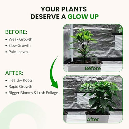 Humboldts Secret Starter Kit, Plant Fertilizer & Hydroponic Nutrients, XL - size: Starter Kit XL