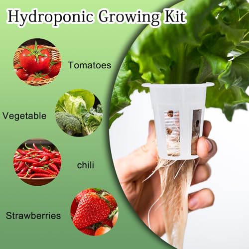 62 PCS Hydroponic Seed Growing System Kit