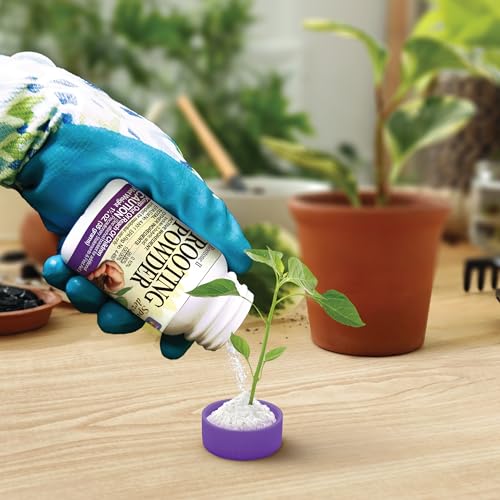 Bonide Bontone II Rooting Powder, 1.25 oz Ready-to-Use Dust for Houseplants and Transplants Speeds Root Development (Pack of 4) - size: 1.25 oz (Pack of 4)