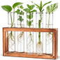 Tigvio Desktop Glass Plant Propagation Station (5 Tubes) - size: 5 Tubes