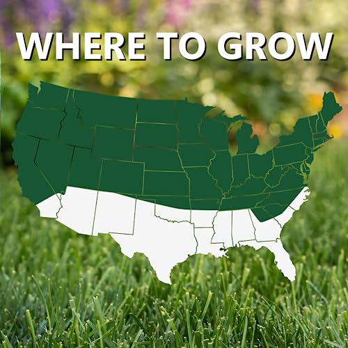 Jonathan Green Black Beauty Dense Shade Grass Seed - 7 lb - size: 7 lb