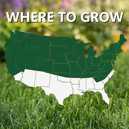 Jonathan Green Black Beauty Dense Shade Grass Seed - 7 lb - size: 7 lb