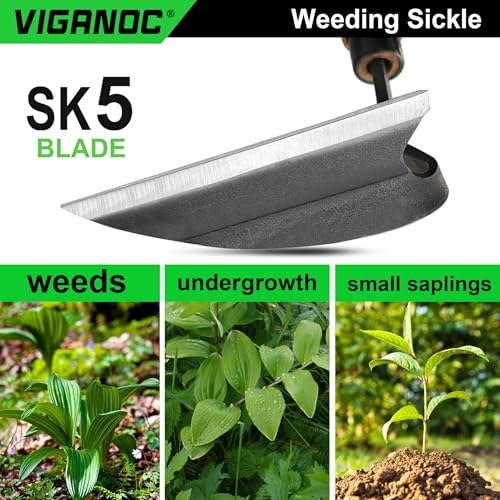 Japanese Wide Blade Garden Tool - Premium Quality Hand Hoes/Weeding Sickle is Very Sharp for Quick Work - size: Long Handle