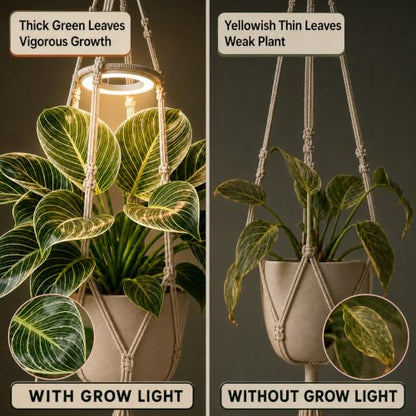 Hanging Grow Lights for Indoor Plants with Macrame Plant Hanger