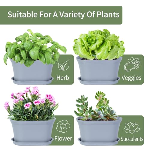 Oliz 6pk Windowsill Planters, Grey Plastic w/Drain Tray - Indoor/Outdoor - color: Gray