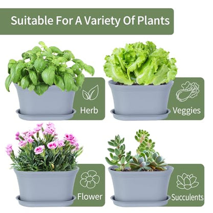 Oliz 6pk Windowsill Planters, Grey Plastic w/Drain Tray - Indoor/Outdoor - color: Gray