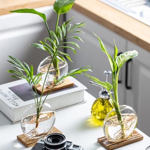 Propagation Vases for Plants - Glass Terrarium Planter with Wooden Stand, Small Desktop Oblate Hydroponic Propagation Vases for Modern Home & Office Decor (2)
