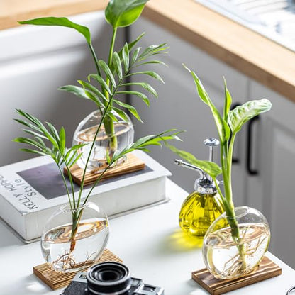 Propagation Vases for Plants - Glass Terrarium Planter with Wooden Stand, Small Desktop Oblate Hydroponic Propagation Vases for Modern Home & Office Decor (2)