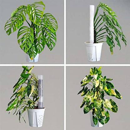 4 Pack 17 Inch Plastic Moss Pole for Plants Monstera, Plant Poles for Climbing Plants, Plant Support for Indoor Plants, Plant Support Poles Work with Sphagnum Moss