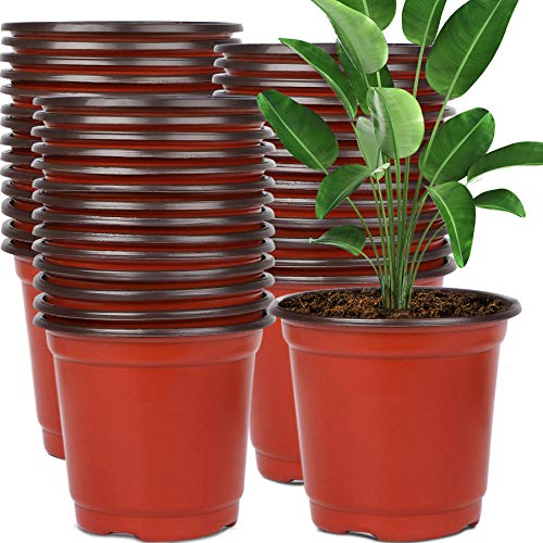 Augshy 130 Pcs 6 Inches Plastic Plant Nursery Pots, Seed Starting Container - size: 6 Inch