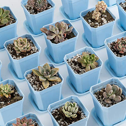 30Pcs 3" Plants Nursery Pot with 30 Saucers Blue, Square Planting Pots - color: Blue