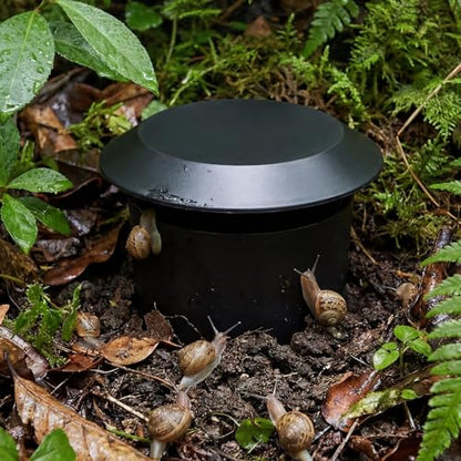 5 Pcs Slug Traps for Garden, Beer Trap for Snails, Black - color: Black