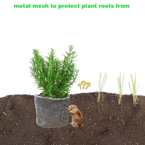 20 Packs Gopher Baskets 1 Gallon Stainless Steel Mesh Protects from Gophers - size: 1 Gallon×20 PCS