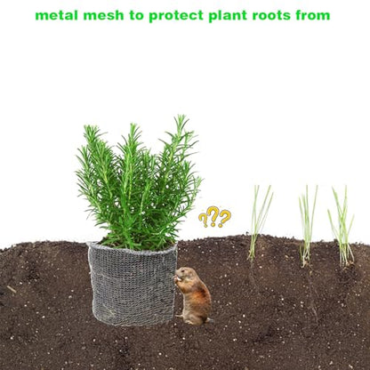 5 Packs Gopher Baskets 3 Gallon Size Stainless Stee (Small) - size: Multisize X 15 PCS