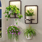 LASZOLA Plant Picture Frame Holder Shelf Wall with Lights, 2 Pcs Brown - color: Brown with Light, size: 2