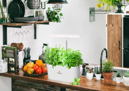 SunBlaster Nano Growlight Garden, LED Countertop Planter, Indoor Herbs