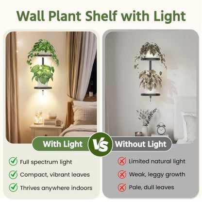 LASZOLA Plant Hanger Holder Shelf Wall Indoor with Lights, 2 Pcs Bronze - color: Classic Brown, size: 2
