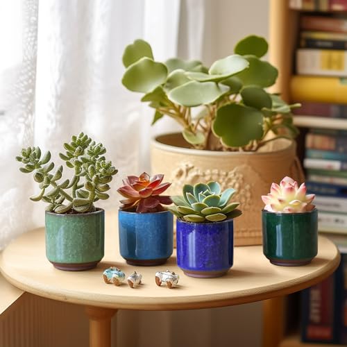 T4U Mini Succulent Pots, Small Ceramic Planters, Retro Gift Set of 12 - size: 2.4"*2.4"