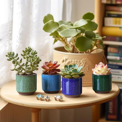 T4U Mini Succulent Pots, Small Ceramic Planters, Retro Gift Set of 12 - size: 2.4"*2.4"