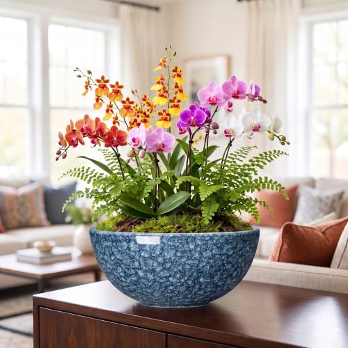 Bowl Planter, 12 Inch Ceramic Succulent Planters, Scale Blue - color: Scale Blue-1, size: 12 Inch