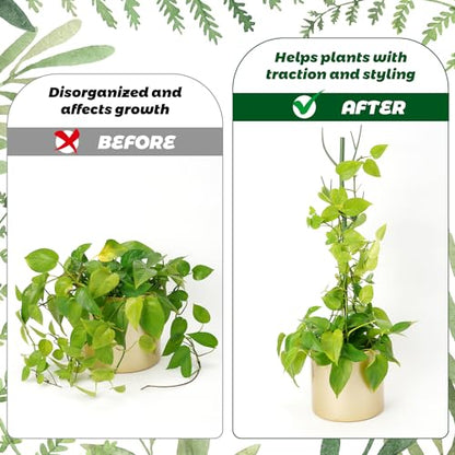 8 Pack Monstera Plant Support Stakes, Detachable Twig Plant Support