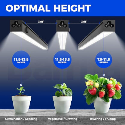 Barrina T5 LED Grow Lights, 1FT 10W (2 X 5W), 5000K Full Spectrum, 2 Packs - color: White, size: 1FT-Black Cover-2P