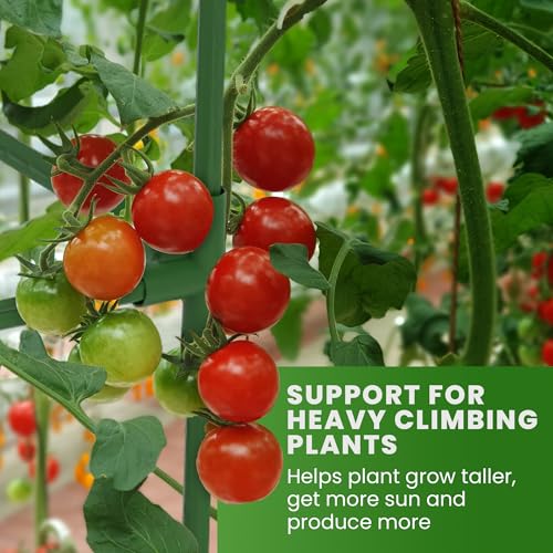 3 Pack 58" Square Tomato Cages for Garden - Large Tomato Trellis Stakes - size: 3 Pack, 58 Inches