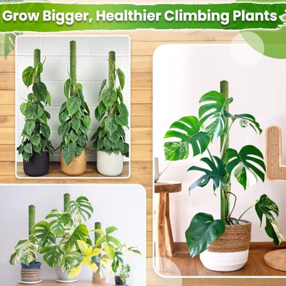 DUSPRO 2 Pack 22" Green Stackable Mesh Moss Pole for Plants - color: 2pcs Green