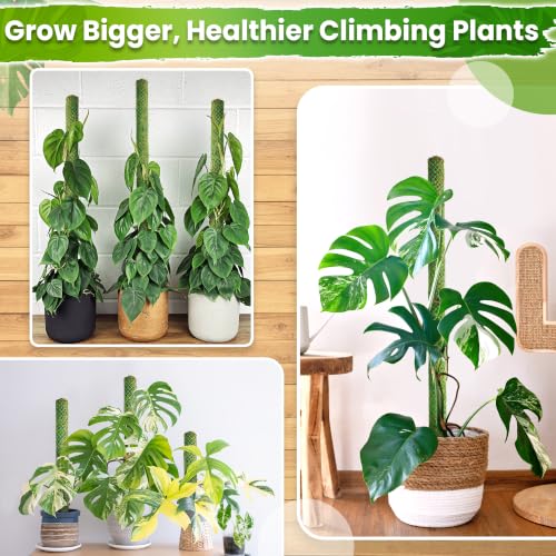 DUSPRO 1 Pack 22" Pre-Made Green Stackable Mesh Moss Pole for Plants - color: 1pc Green