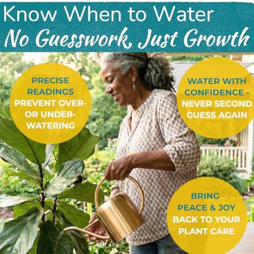 Fiddle Leaf Fig Health Meter, 3-in-1 Soil Moisture, Light & pH Testing Tool