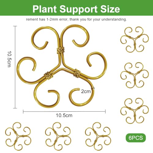 BADAO 6pcs Monstera Plant Support,Iron Stabilizer Grapple Holder for Plants