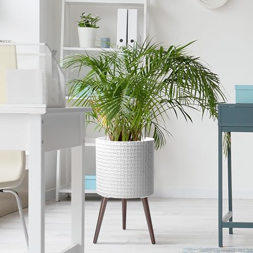 D'vine Dev Planter Pot with Wood Stand, 14 in, Matte White, 88-Z-D-1 - color: Matte White, size: X-Large