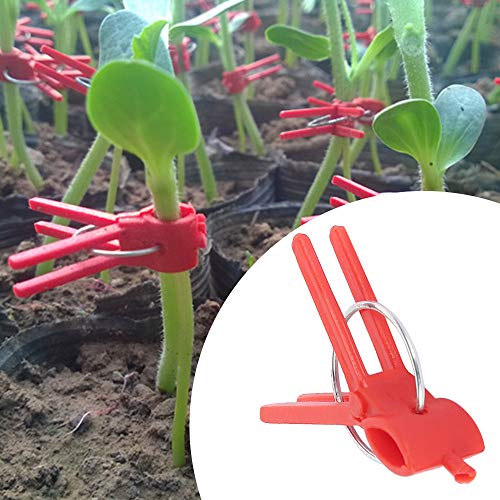Suxgumoe Plants Graft Clips, 100PCS Plastic Round Mouth Grafting Clips Gardening Tool for Cucumber Eggplant Tomato Watermelon