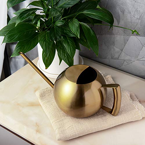 IMEEA Watering Can for Indoor Plants 45oz/1.3L Stainless Steel Small Indoor Watering Can House Plants - color: 45oz