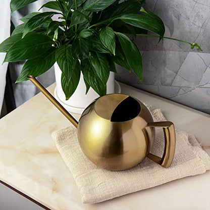 IMEEA Watering Can for Indoor Plants 45oz/1.3L Stainless Steel Small Indoor Watering Can House Plants - color: 45oz