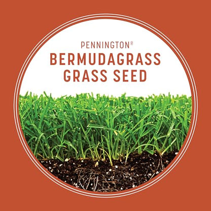 Pennington Bermudagrass Southern Grass Seeds for Lawn, 5 lb - size: 5 LB