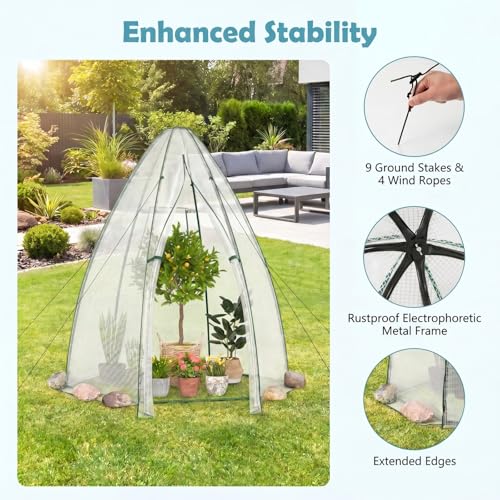 Happygrill Portable Mini Greenhouse with Windproof PE Cover & Window - color: Clear