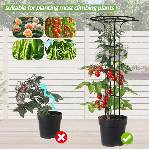 Trellis for Climbing Plants Outdoor, 72“Mushroom Top Trellis(2 Pack) - size: 2 pack(Square)