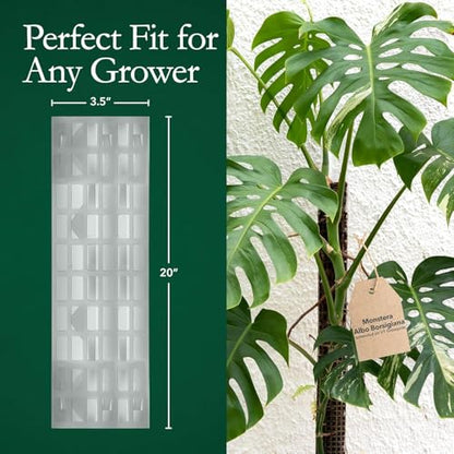 THICCLY V3 GrowPole Large 10 Pcs - Front Opening Plastic Moss Poles for Climbing Plants, D-Shaped Moss Pole for Monstera Plant Support Plant Climbing Pole, Plastic Plant Pole Support for Philodendron - size: V3 GrowPole Large 10 Pcs