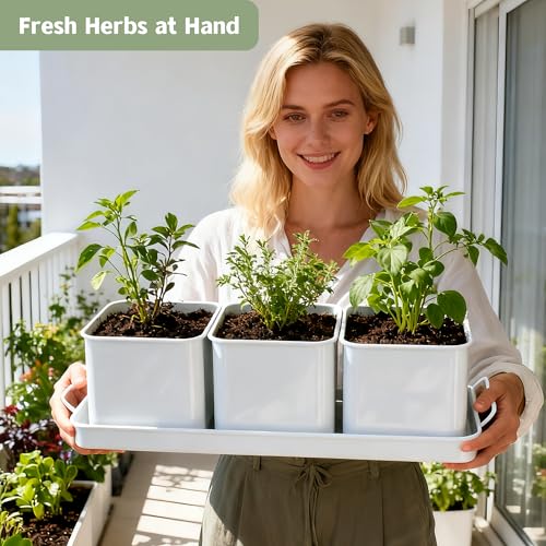 Indoor Herb Planter with 3 Herb Pots and Handled Tray