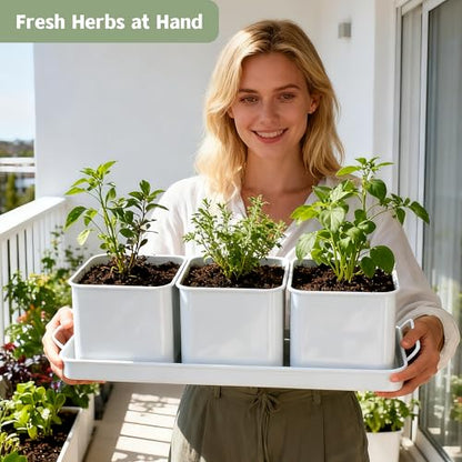 Indoor Herb Planter with 3 Herb Pots and Handled Tray