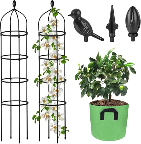 Garden Obelisk Trellis for Climbing Plants Outdoor 6 Ft Rose Bush Round Trellis with Grow Bag for Pots Rustproof Metal Pipe with Plastic Coated Plant Flower Trellises for Clematis Vine Jasmine Support - color: Black, size: 6 Ft(1 Pcs) with Grow Bag