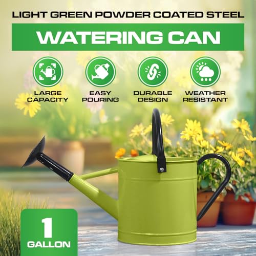 Plexon Metal Watering Can Outdoor 1 Gallon, Flower Plant Gardening Garden Large Green Watering Can Pot, Galvanized Steel Handles - Removable Spray Spout, Green - color: Green